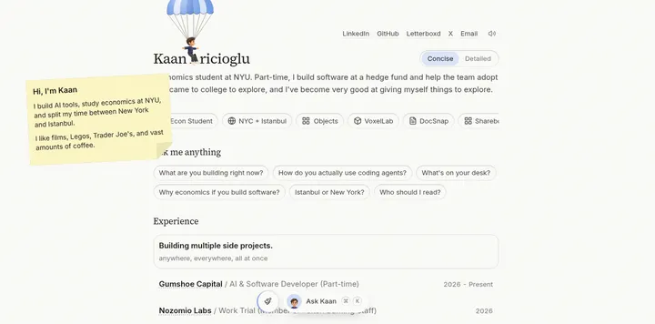 Kaan Aricioglu 带迷你化身的个人站