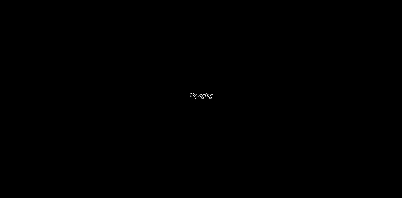 Nate Steele 的 Three.js 海滩绿洲个人站