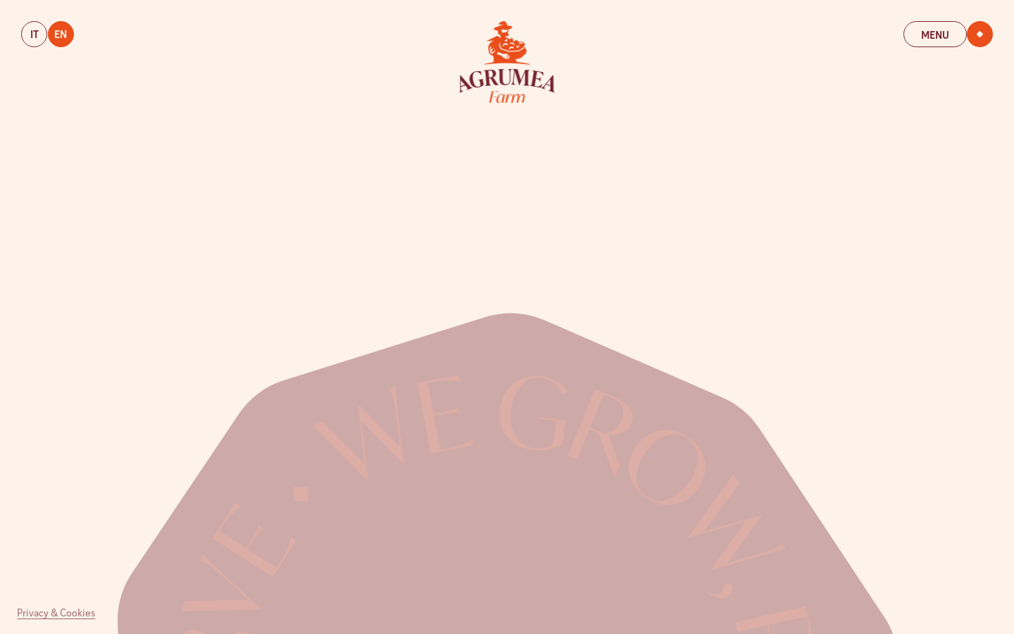 Agrumea Farm:西西里果酱罐子漂在奶油底上