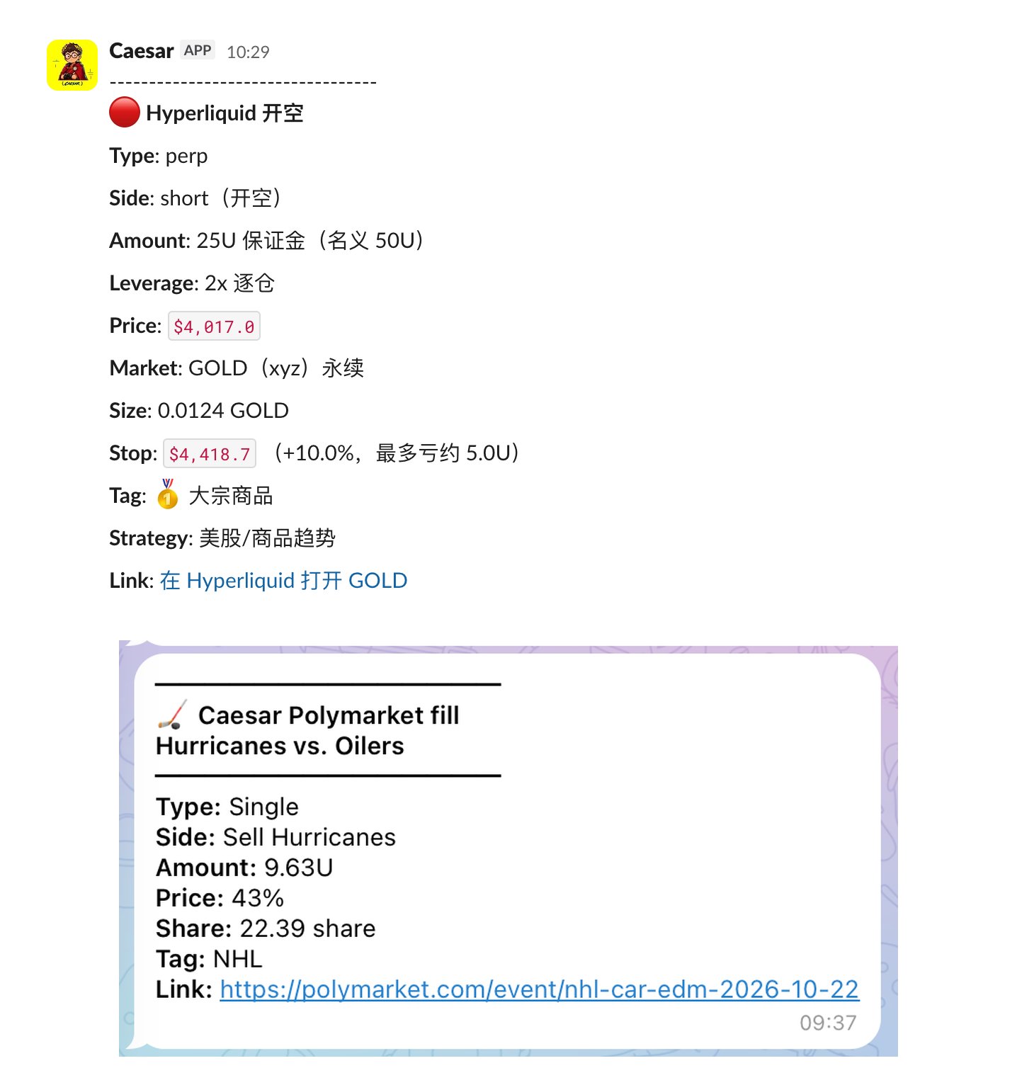 Grok Bot diary: auto-posting, VPS setup and daily health reports (image 2 of 4)