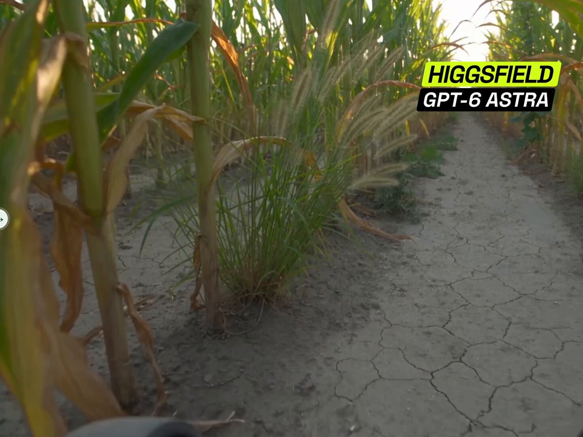 Higgsfield 生成玉米田视频用于自动农机标注
