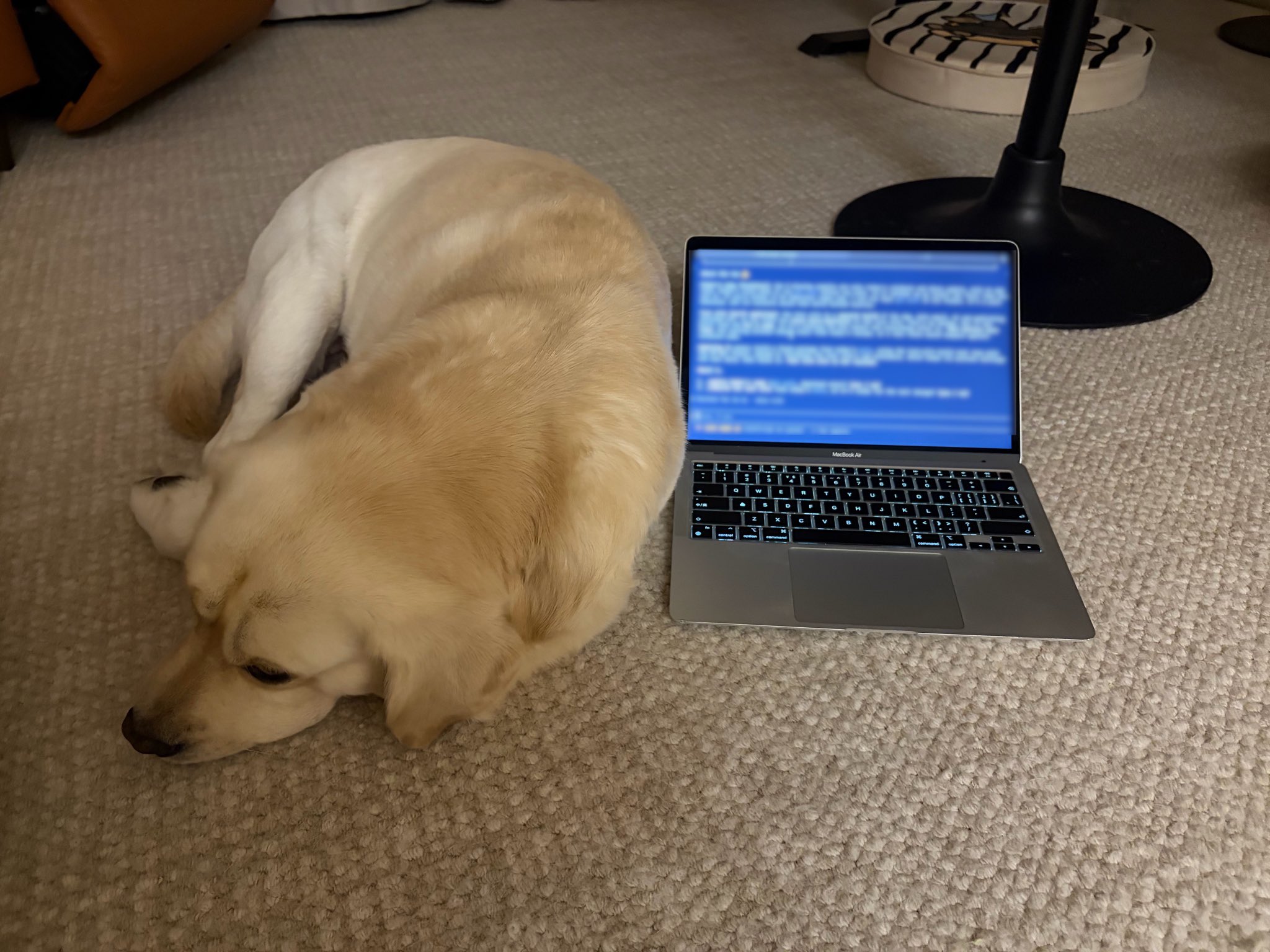 After a Claude ban, moving login abroad and using an old MacBook Air via SSH