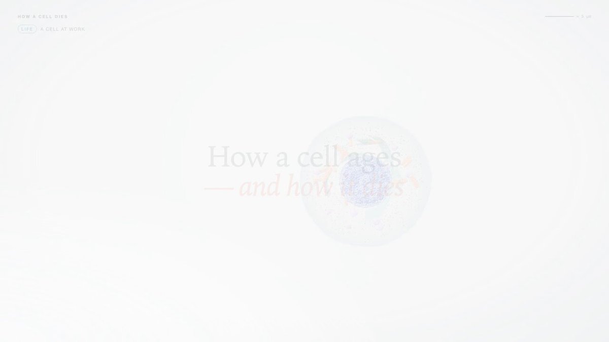 Opus 5.5 animates a cell aging and dying in 3 prompts