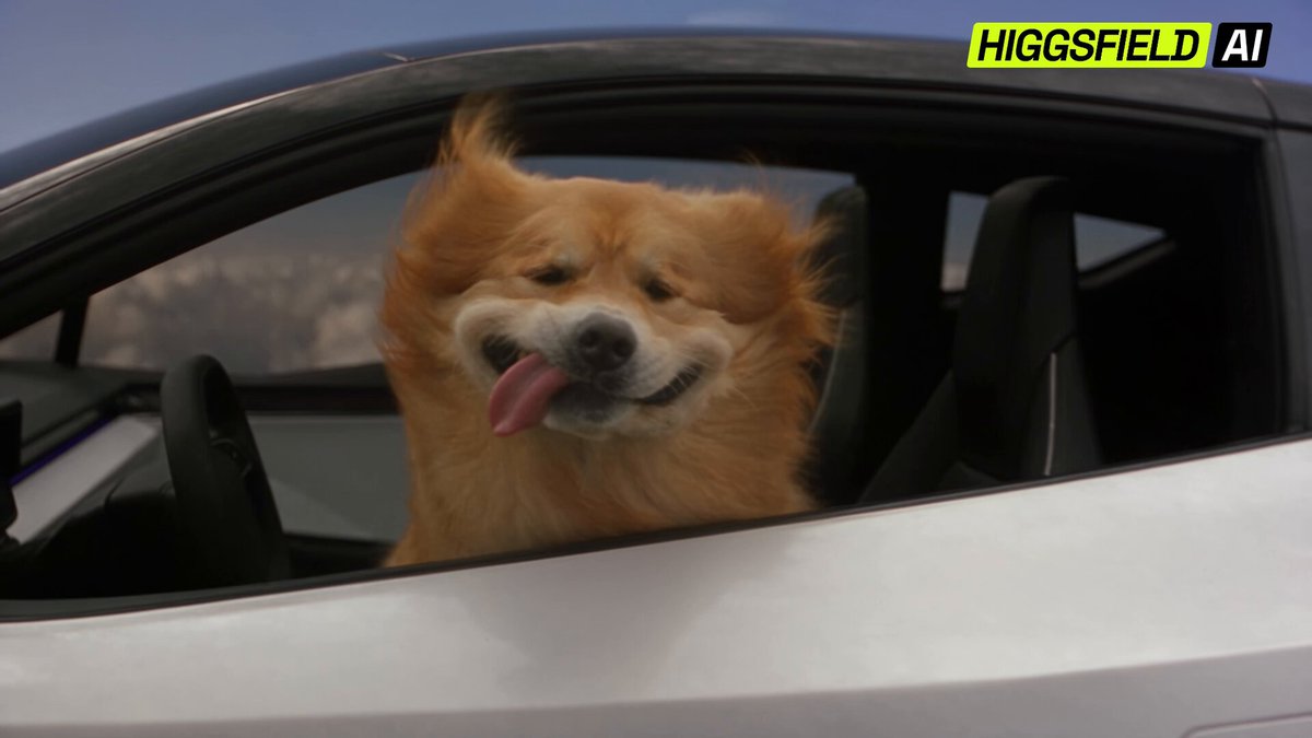 Higgsfield 让狗开上飞行汽车
