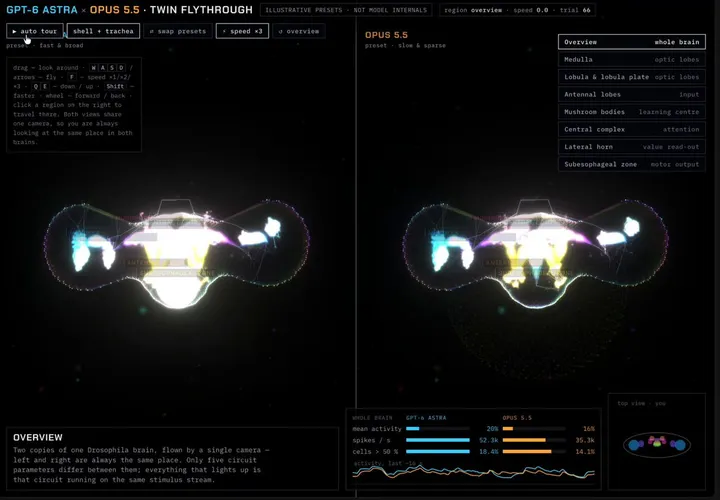Opus 5.5 and GPT-6 activation patterns mapped onto a 3D fly brain
