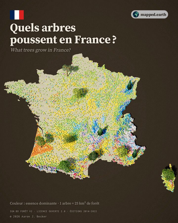 Opus 5.5 builds 3D models from IGN tree species map data