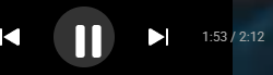Screenshot offered as evidence Google runs Gemini 4 Argon internally