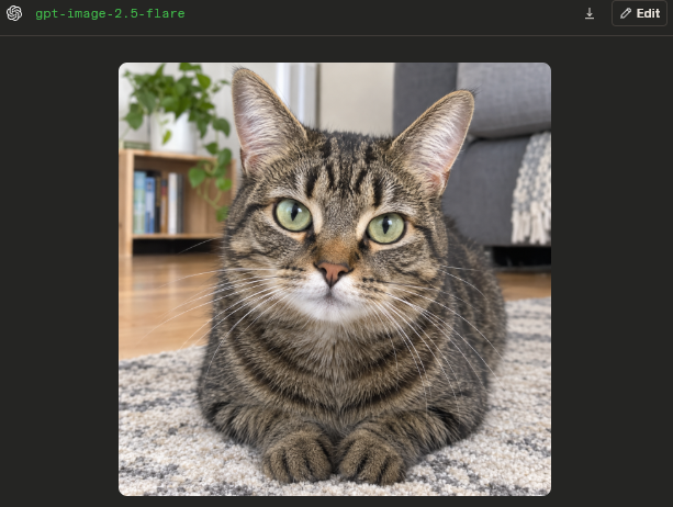 GPT Image 2.5 Flare test: one prompt, "Create a cat"
