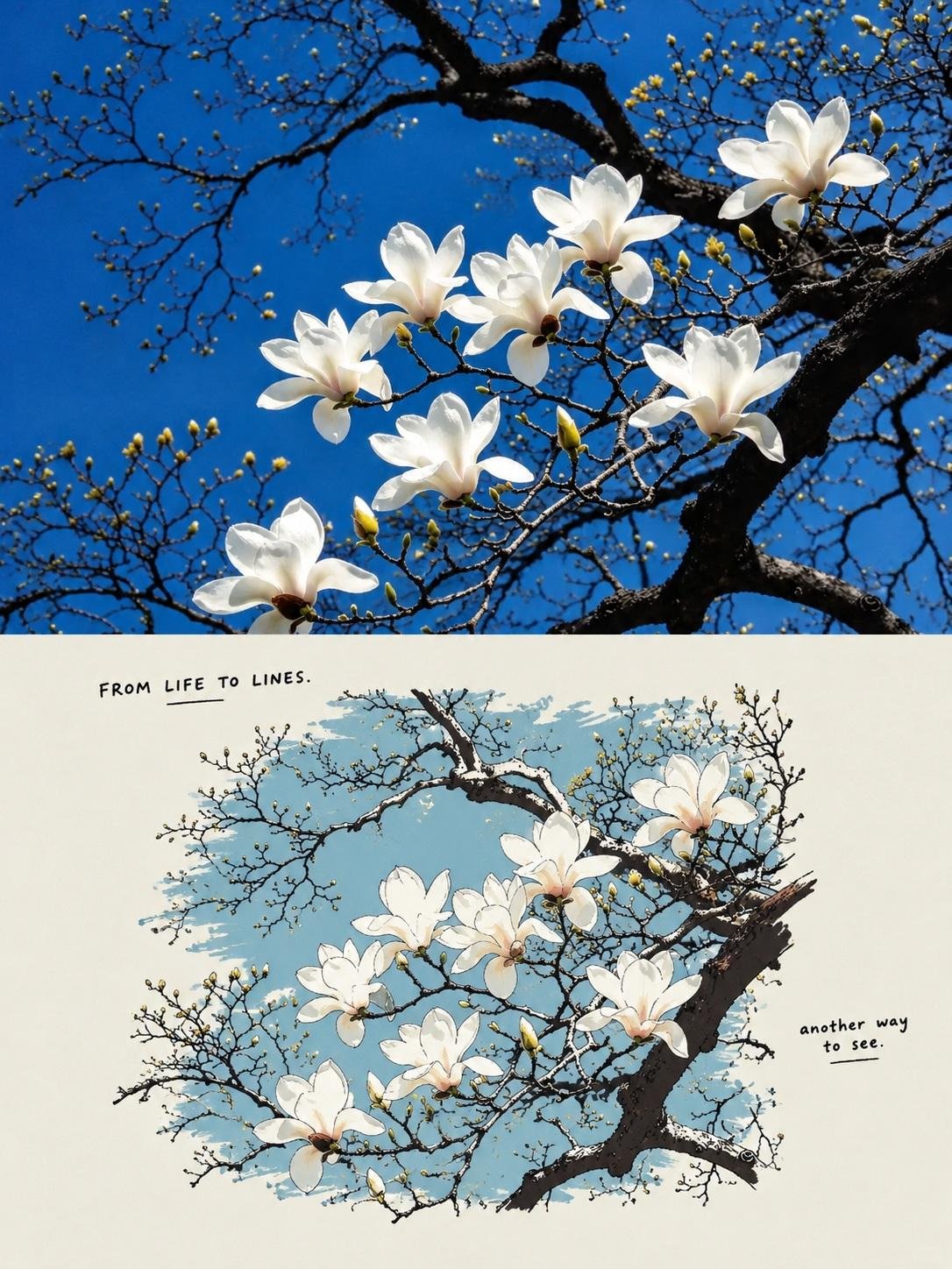 GPT Image 2.5 照片转日式漫画海报提示词(第 3 张,共 3 张)