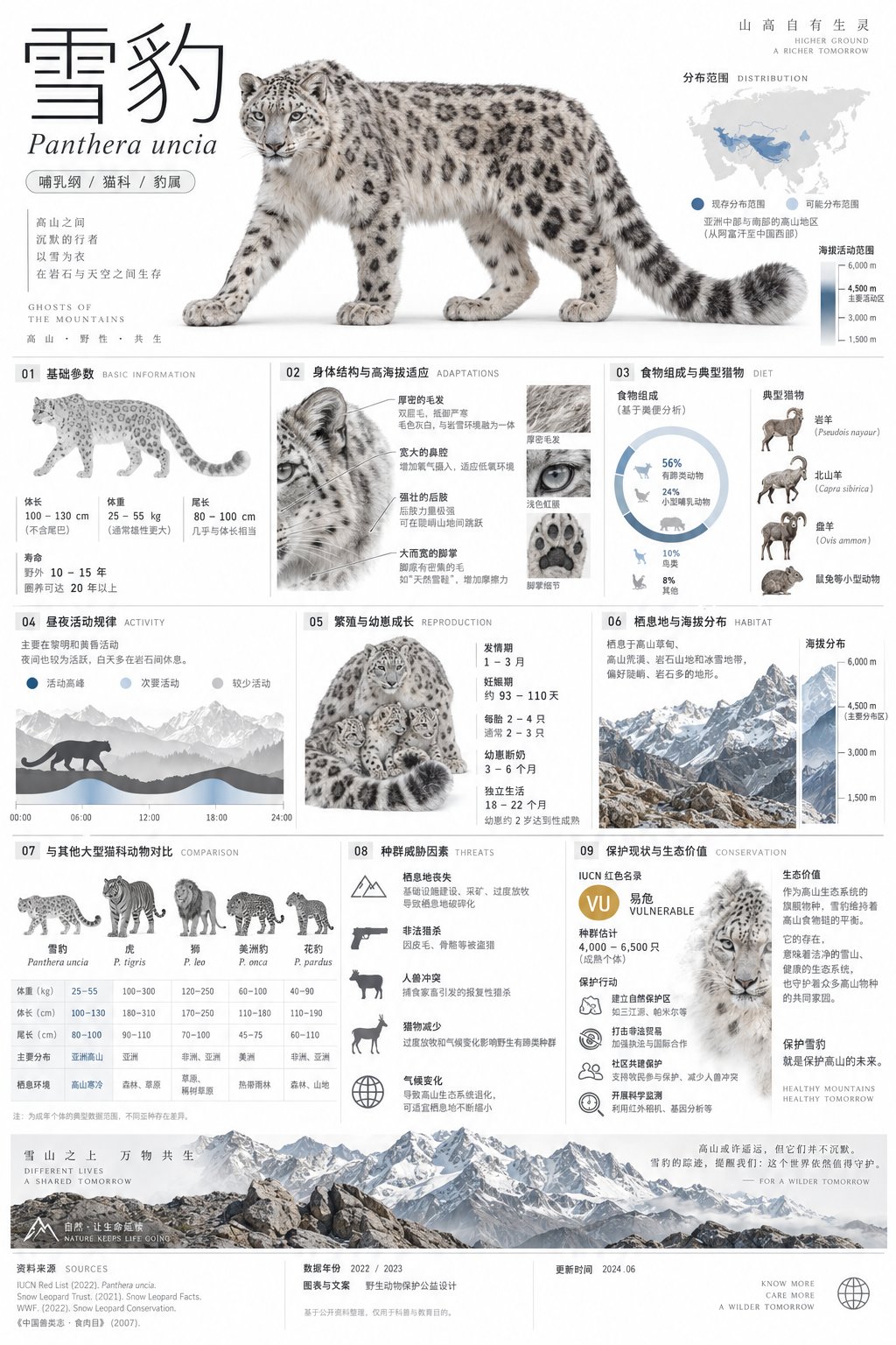 GPT Image 2.5 prompt: minimalist snow leopard infographic card