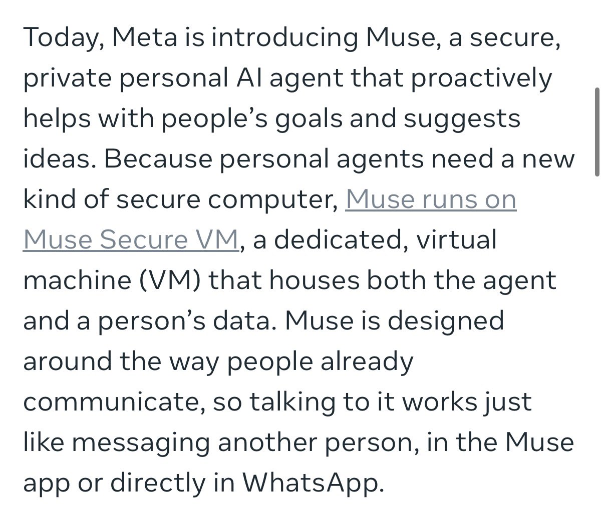 Meta 发布个人 AI Agent Muse，每人一个 VM