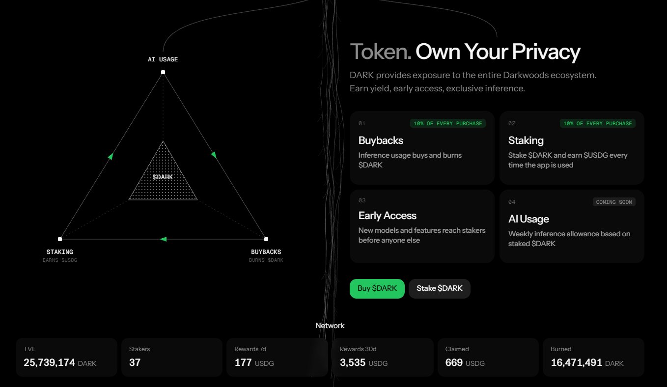 Darkwoods: privacy-first multi-model AI platform (image 3 of 4)