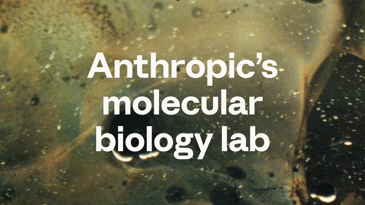 Anthropic 分子生物学实验室首个成果公布
