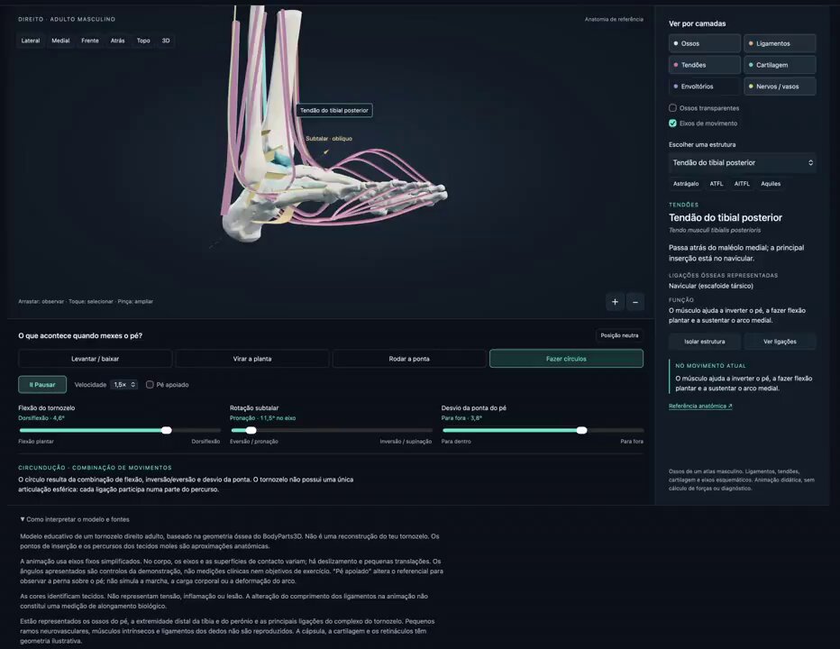 GPT-6 Astra turns ankle pain into an interactive 3D anatomy lesson