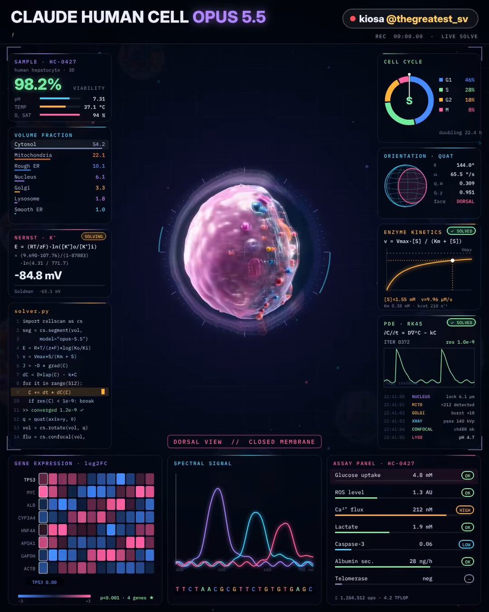 用 graphify 知识图谱 + jev-guard 给 Claude Code 搭工作区