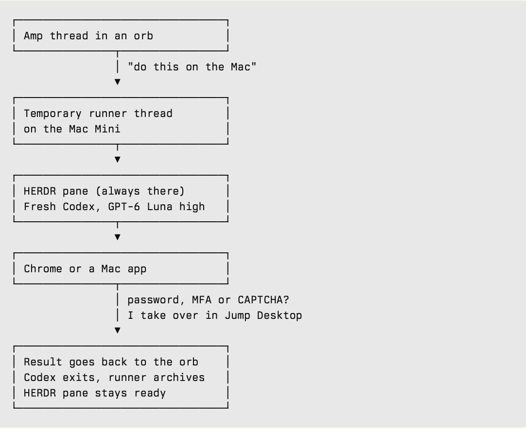 Using Amp and Codex to offload browser tasks to a Mac Mini