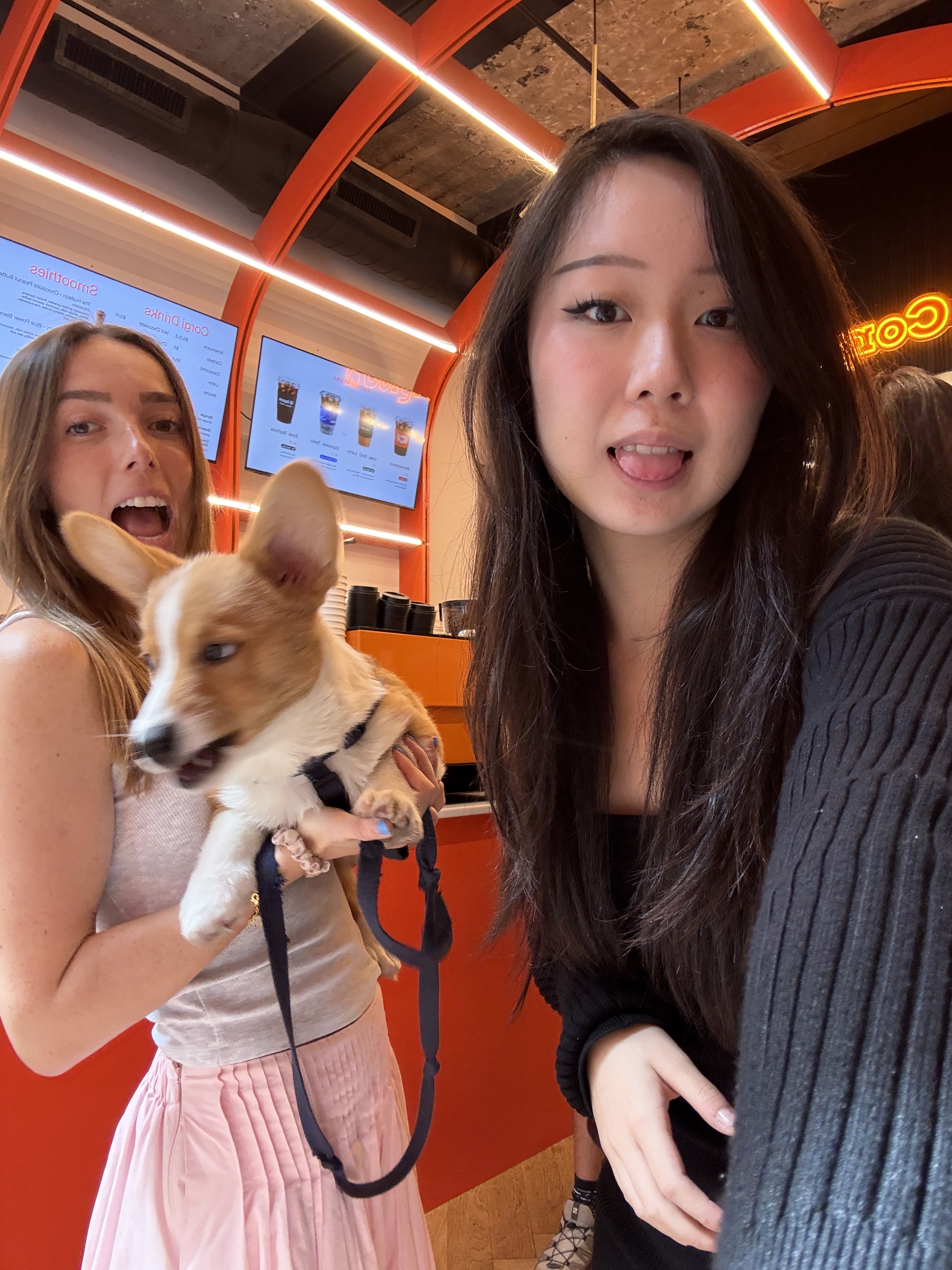 Corgi 纽约本周活动含 Jev Jam Sesh 建站课