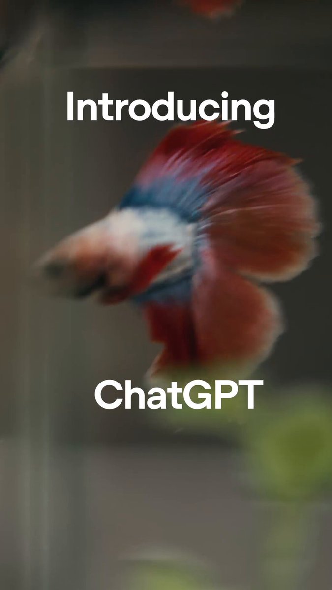 ChatGPT Sept 11 update: GPT-6 Astra available in Voice's higher intelligence mode