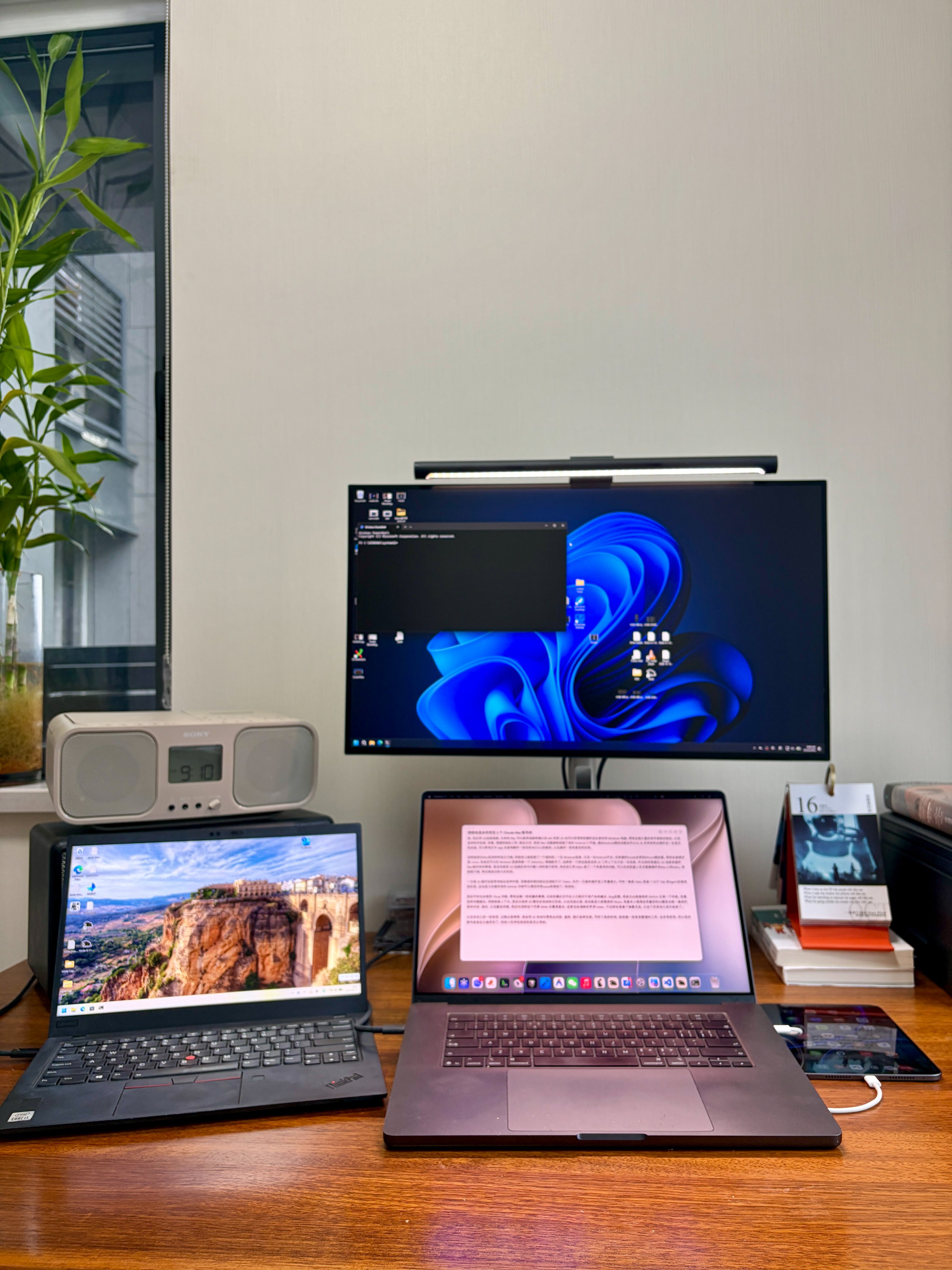 两个 Claude Max 加 ChatGPT Pro 的日常用法与 computer use 实践