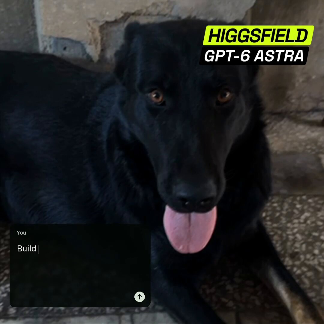 Higgsfield 展示 GPT-6 Astra 做的狗狗情绪识别应用