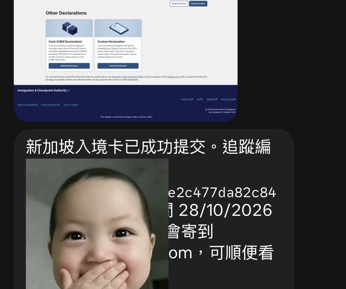 Grok Bot fills Malaysia and Singapore arrival cards via its own computer (image 1 of 2)