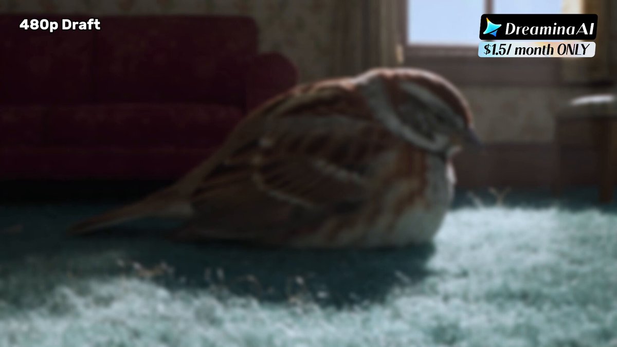 Dreamina Seedance 2.5 预览：480p 试错、1080p 出片省积分