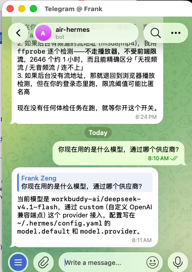 教程:Hermes 电报机器人经 magpie 网关免费用 V4.1 Flash(第 2 张,共 3 张)