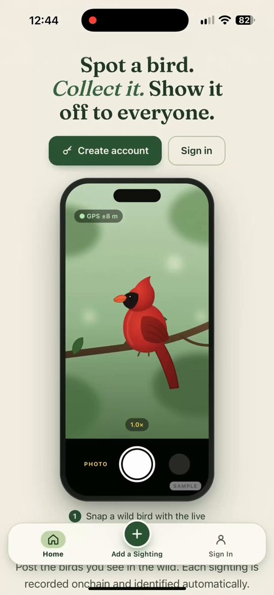 零开发经验者用 Grok Bot 花 26 小时做出观鸟收集 App