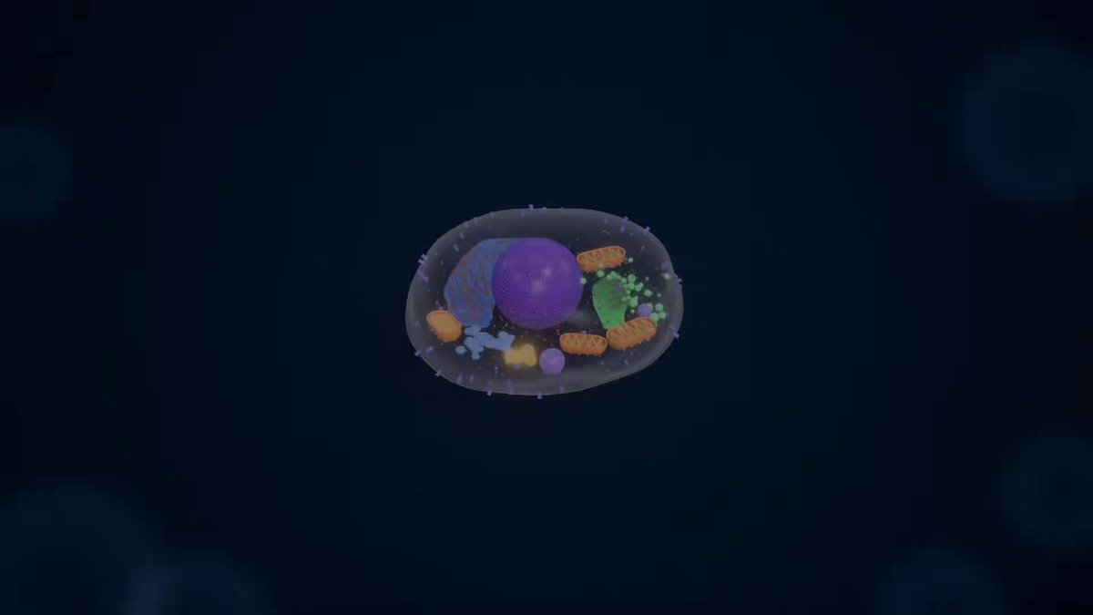 GPT Image 2.5 生成细胞图 + Opus 5.5 做 3D 教学视频