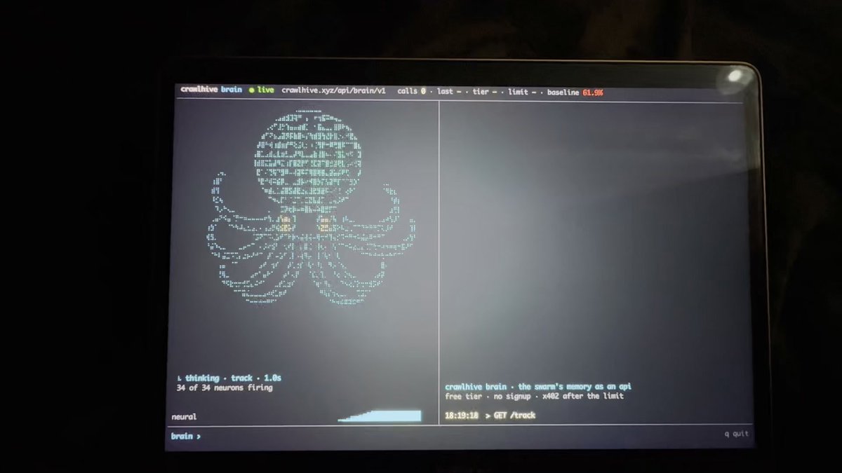 CrawlHive Brain：面向 agent 的公开钱包情报 API